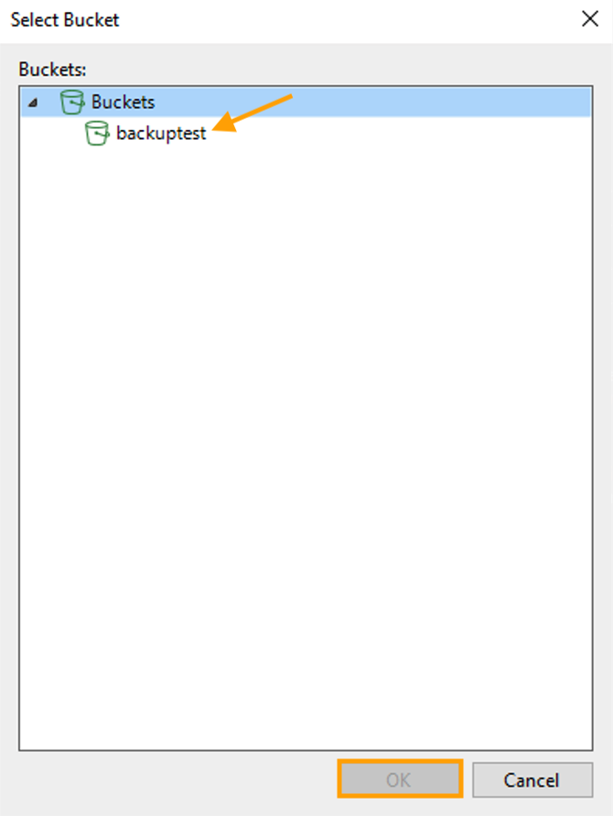 DS_backupwithVeeam13.png