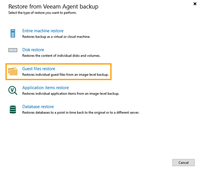 DS_restore_Veeam02.png