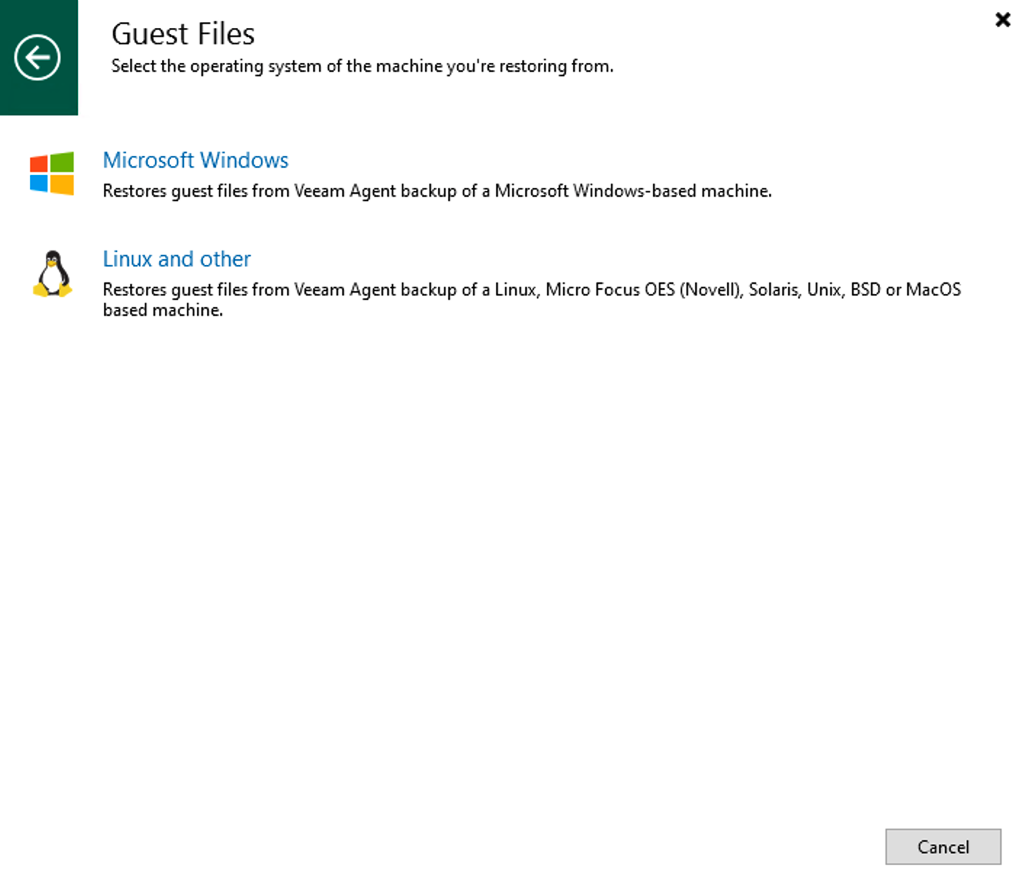 DS_restore_Veeam03.png