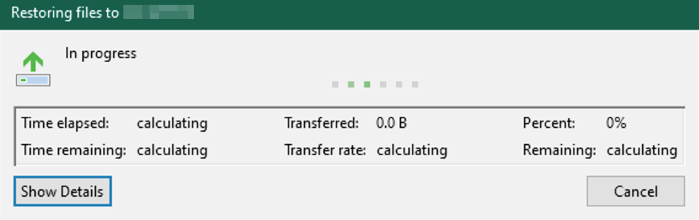 DS_restore_Veeam09.png
