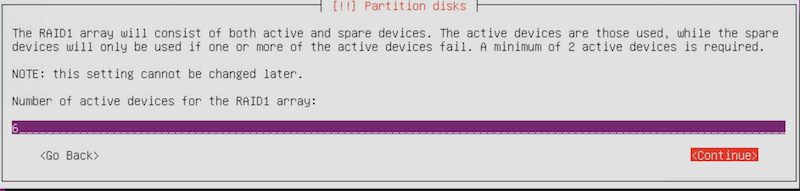 raid1_disks.png