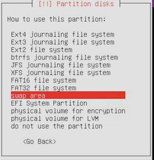 swap_raid_partition.png