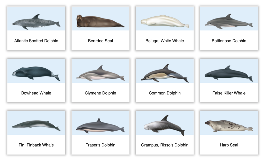 PaaS_AI_notebooks_audioAnalysis01.png