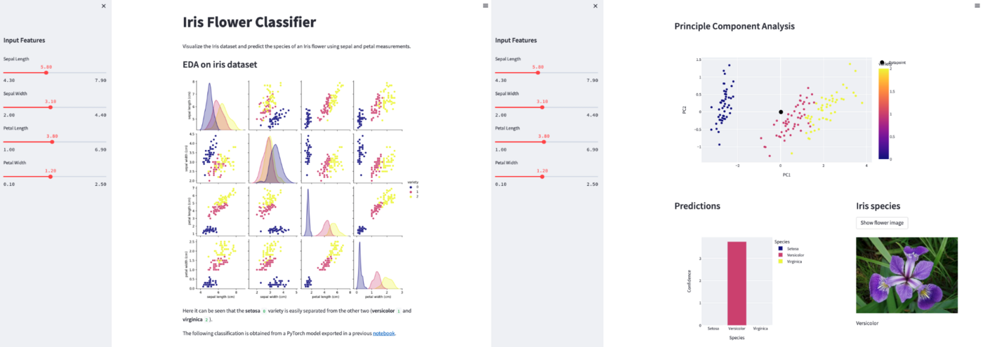 PaaS_AI_deploy_streamlitEDA01.png