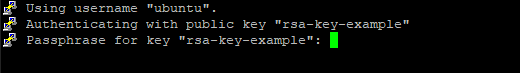 putty_pageant_autheticationPrompt.png