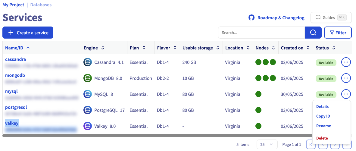 manager_database_serviceList_moreOptions.png