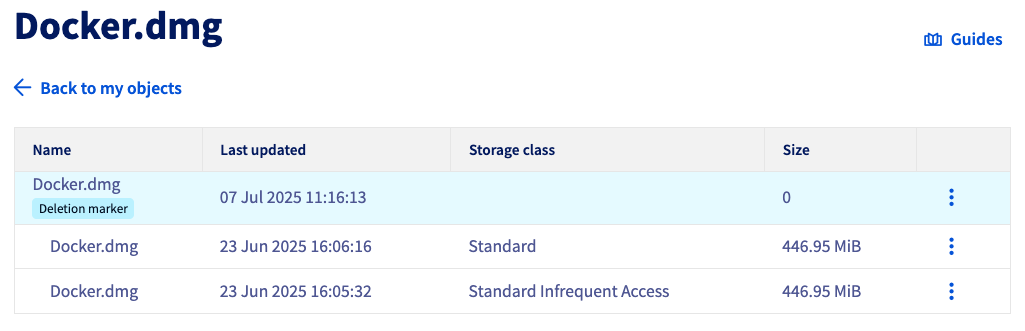 manager_objectStorage_objectVersions.png