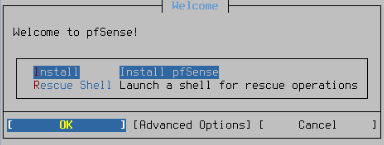 pfsense_installation_1.PNG