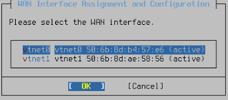 pfsense_installation_3.PNG