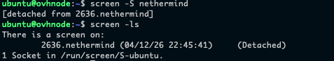 31.png