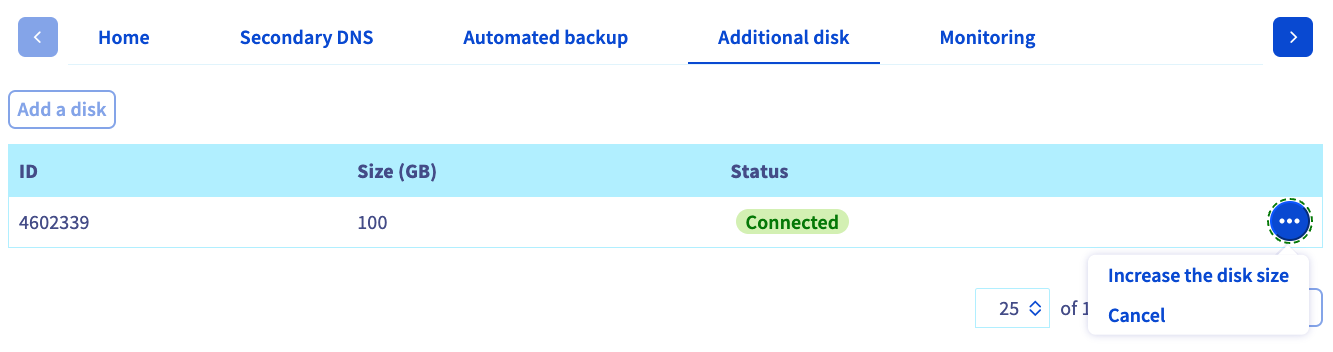 vps_additionalDisks_moreOptions.PNG